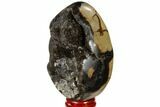 Septarian Dragon Egg Geode - Black Crystals #118767-2